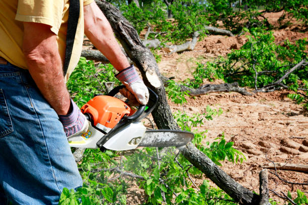 Lawn Grading and Leveling in St George, MO